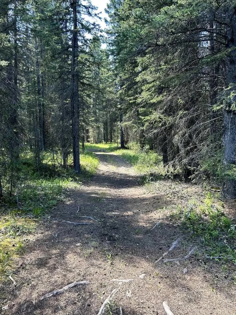 32380 Range Road 55 Rural Mountain View County AB T0M 1X0