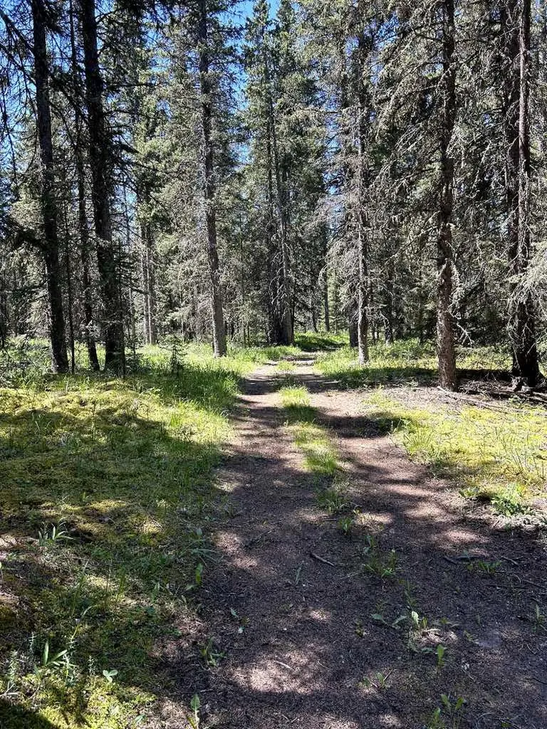 32380 Range Road 55 Rural Mountain View County AB T0M 1X0