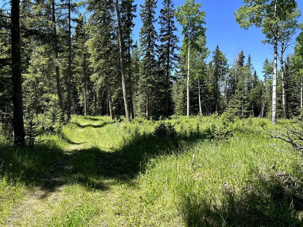 32380 Range Road 55 Rural Mountain View County AB T0M 1X0