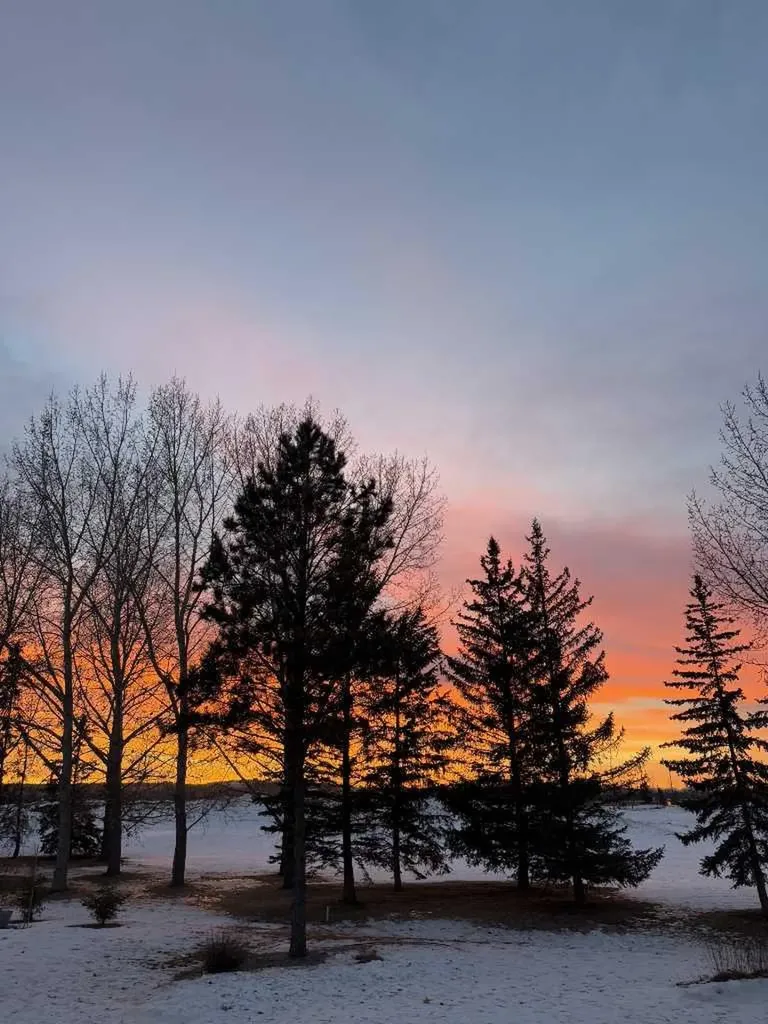 29 Meadow Pointe Drive Heritage Pointe AB T1S 3M8