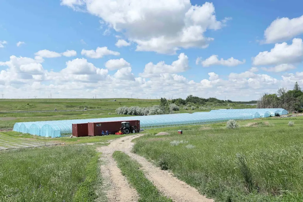 185077 Rr153 Rural Newell County Of AB T1R 1C5