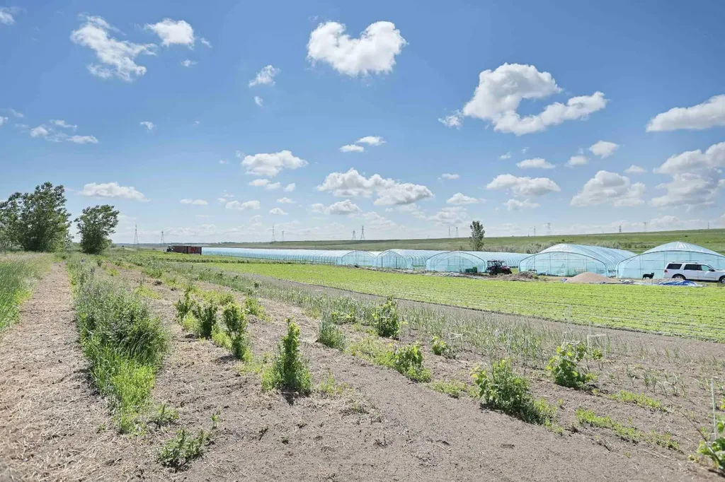 185077 Rr153 Rural Newell County Of AB T1R 1C5