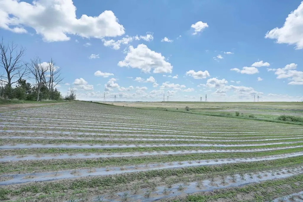 185077 Rr153 Rural Newell County Of AB T1R 1C5