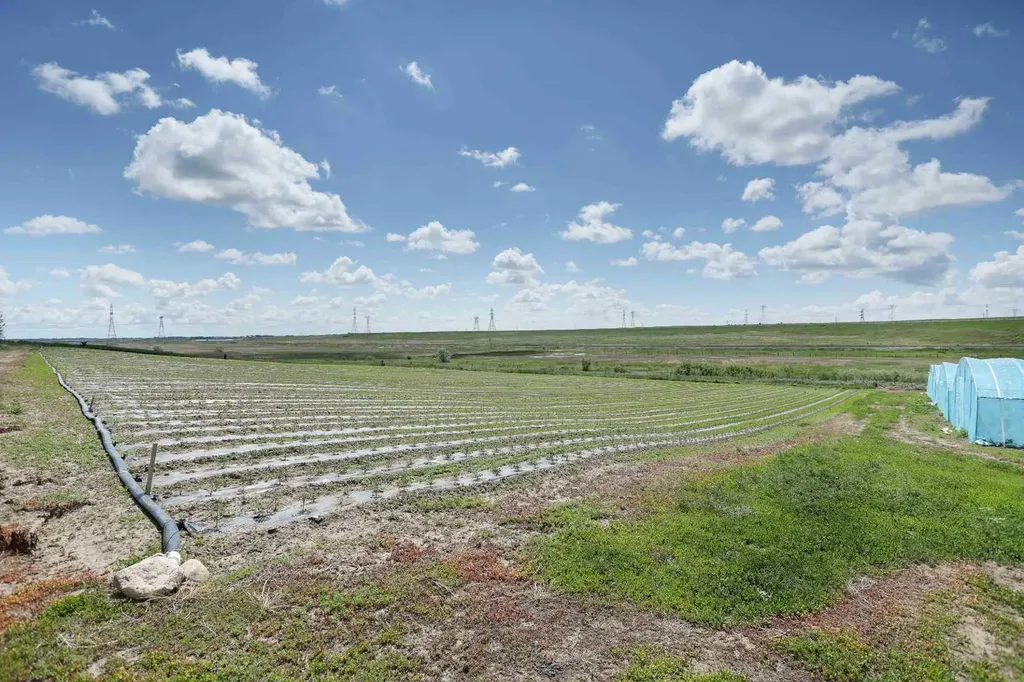 185077 Rr153 Rural Newell County Of AB T1R 1C5