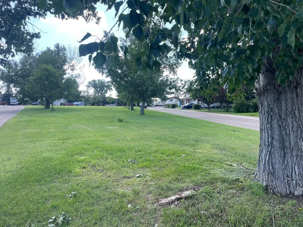 812 3 Avenue Bassano AB T0J0B0