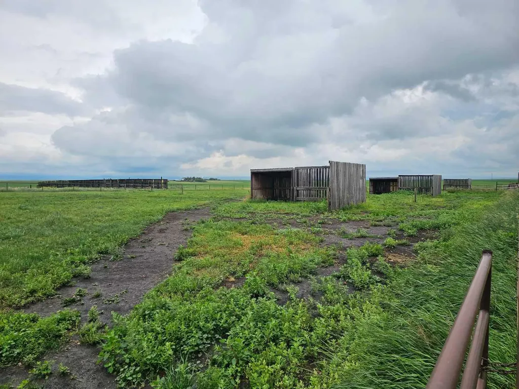 674143 168 Street E Rural Foothills County AB T1S3L8
