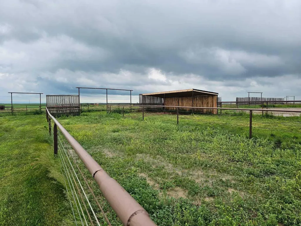 674143 168 Street E Rural Foothills County AB T1S3L8