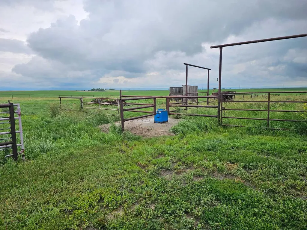 674143 168 Street E Rural Foothills County AB T1S3L8