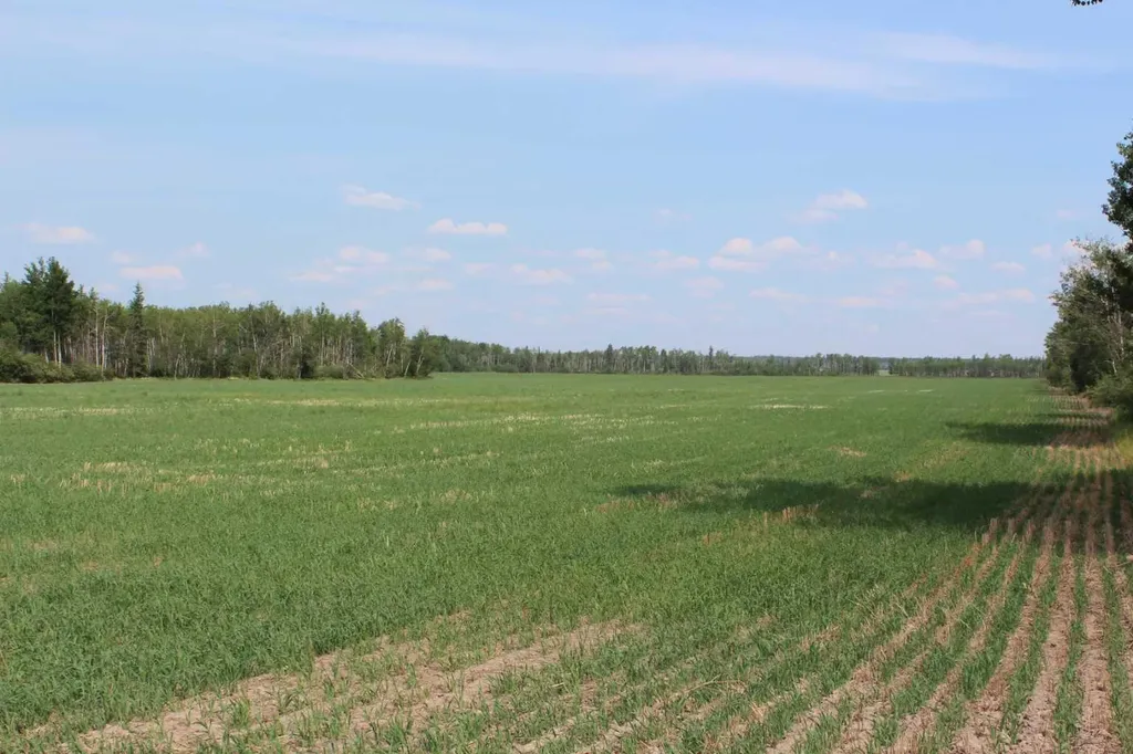 125 Range Road Rural Mackenzie County AB T0H 1N0