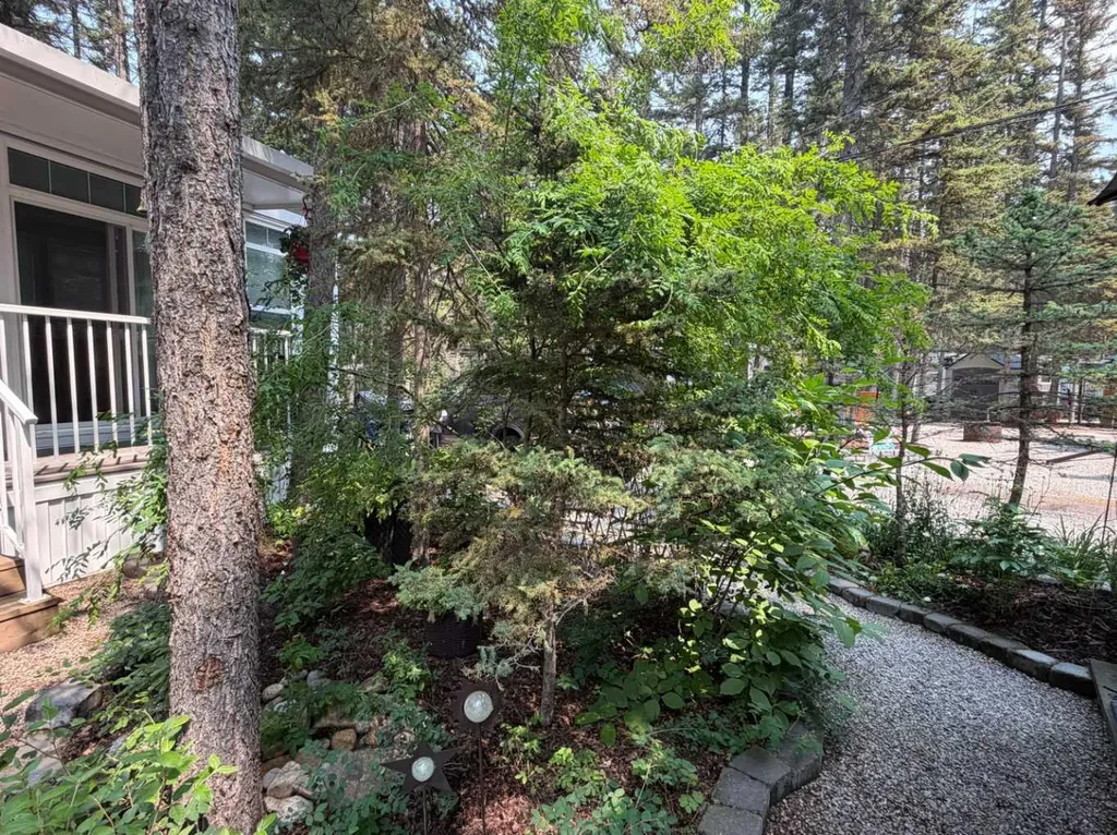 8 Timber Alley Rural Mountain View County AB T0M 1X0