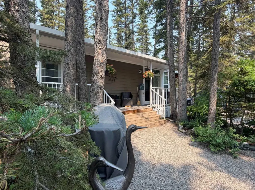 8 Timber Alley Rural Mountain View County AB T0M 1X0