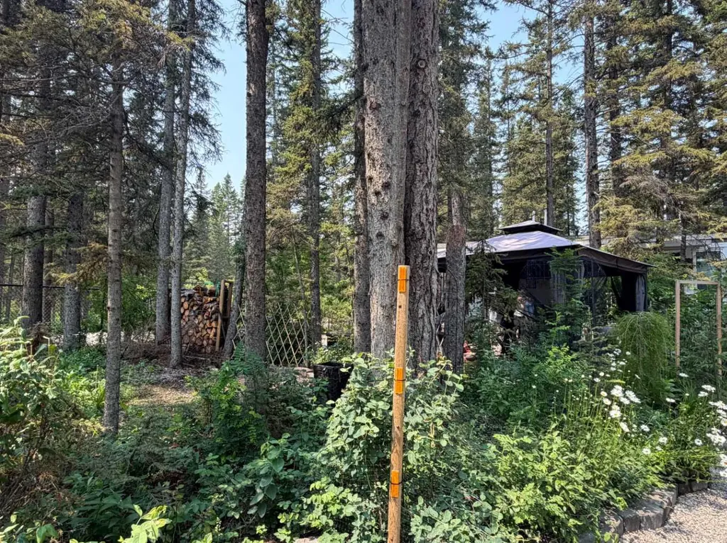 8 Timber Alley Rural Mountain View County AB T0M 1X0