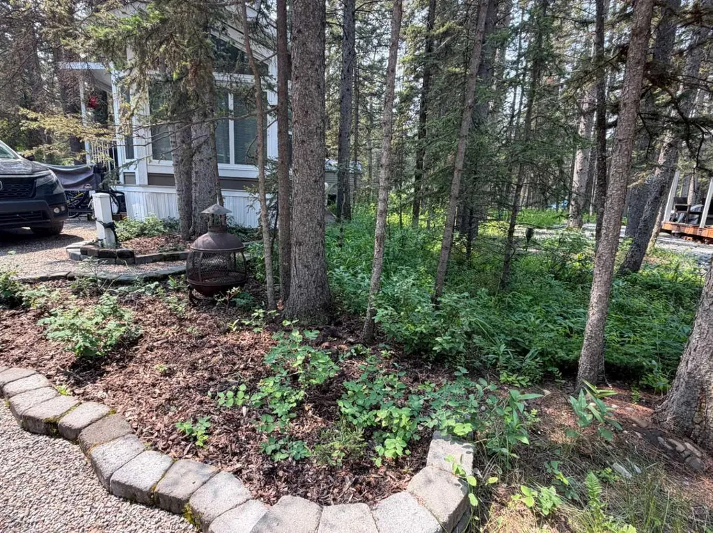 8 Timber Alley Rural Mountain View County AB T0M 1X0
