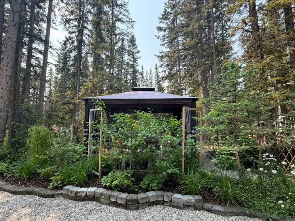 8 Timber Alley Rural Mountain View County AB T0M 1X0