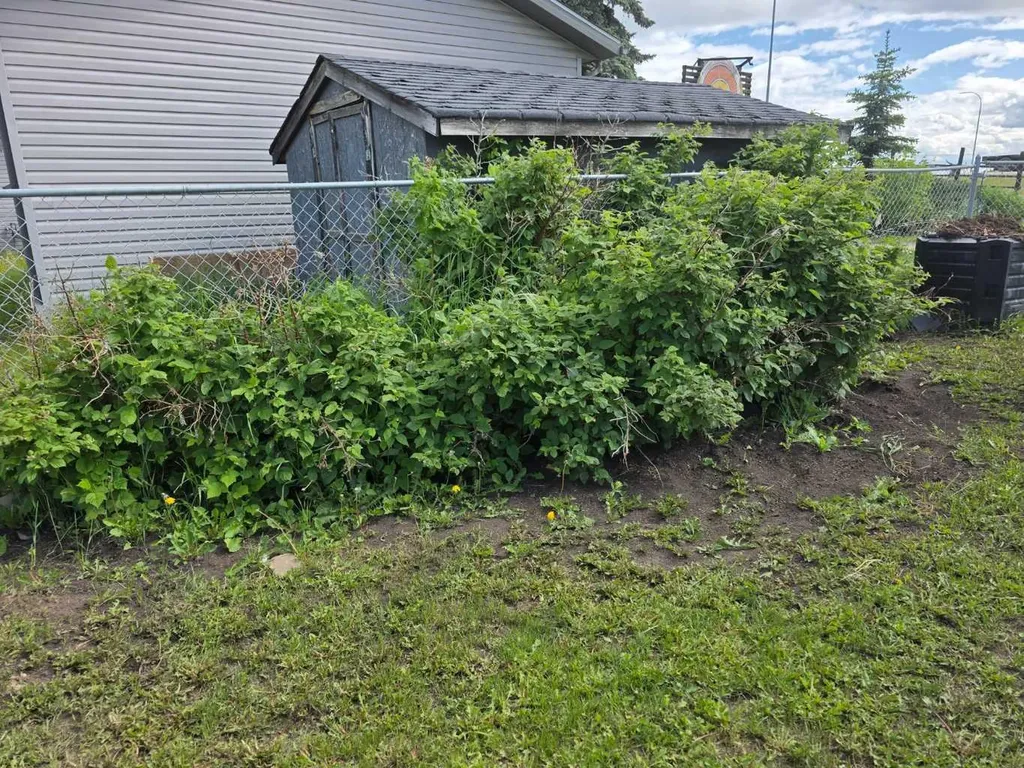 9102 99a Avenue Sexsmith AB T0H 3C0