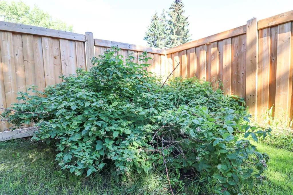 9616 76 Avenue Grande Prairie AB T8V 4L4