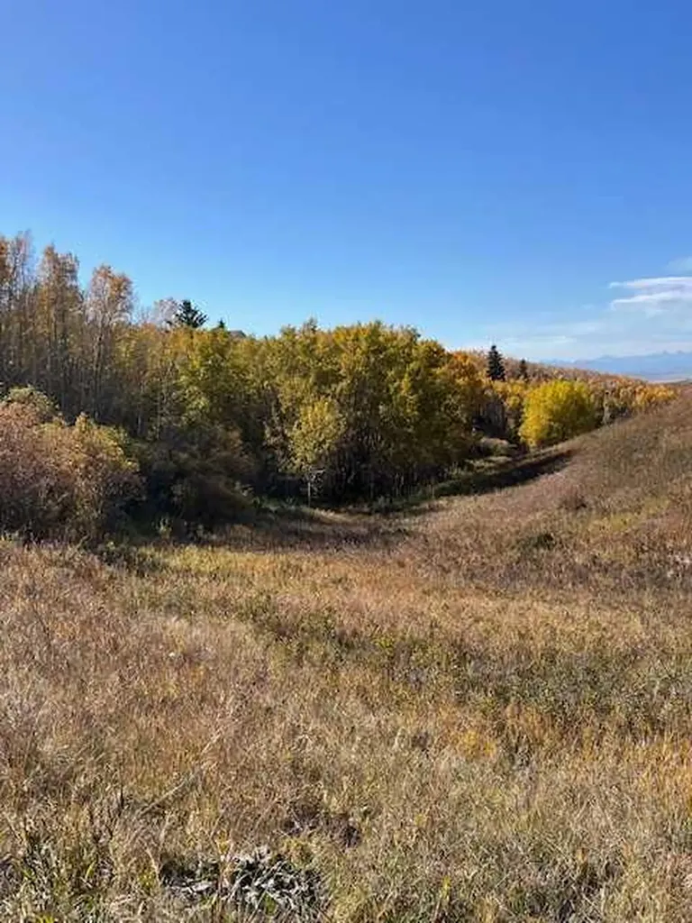 39 Taylor Bay Rural Rocky View County AB T3L 2P6