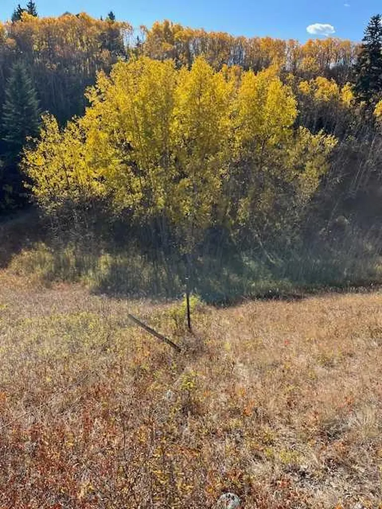 39 Taylor Bay Rural Rocky View County AB T3L 2P6