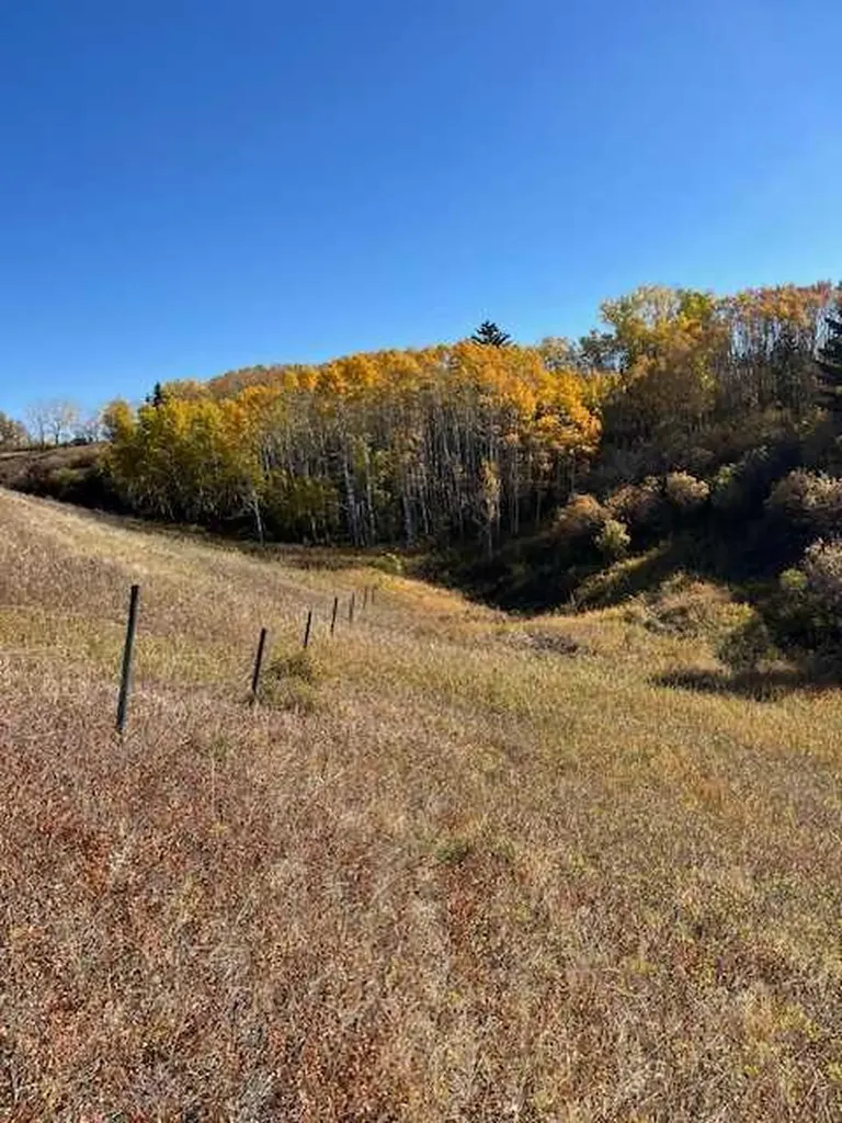 39 Taylor Bay Rural Rocky View County AB T3L 2P6