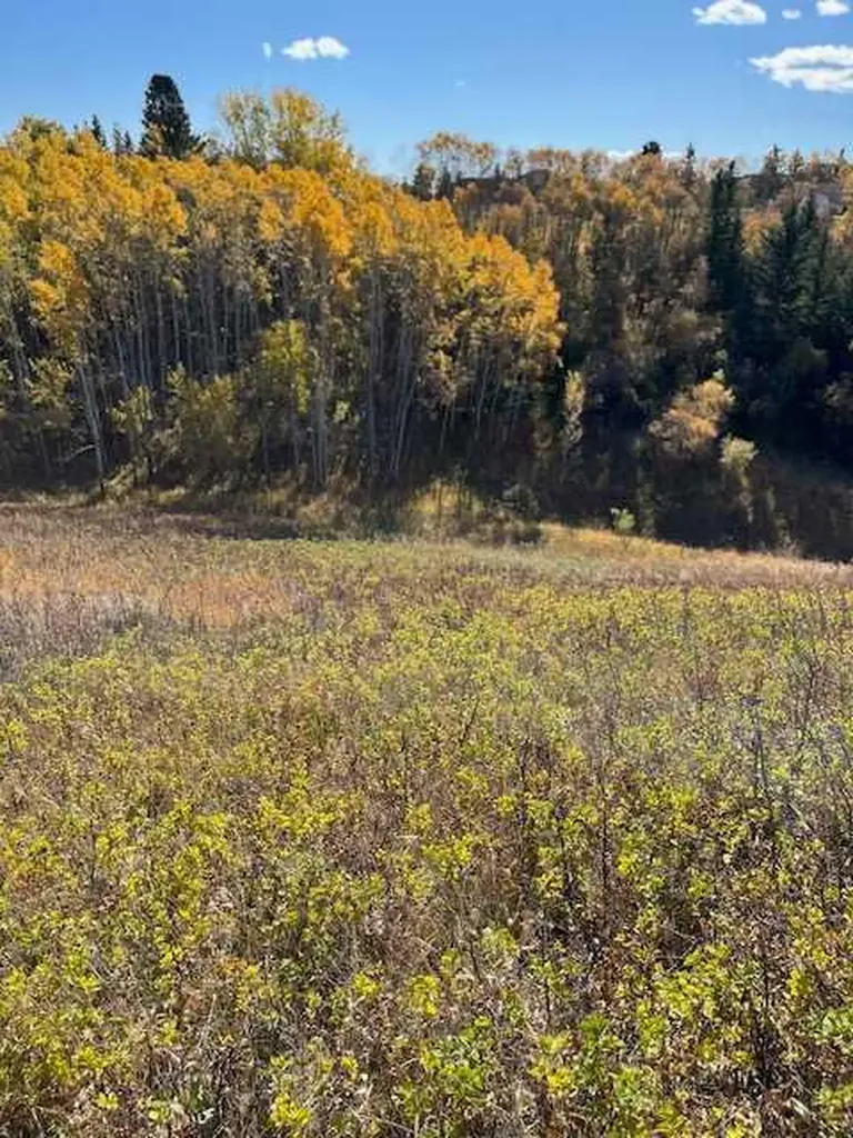 39 Taylor Bay Rural Rocky View County AB T3L 2P6