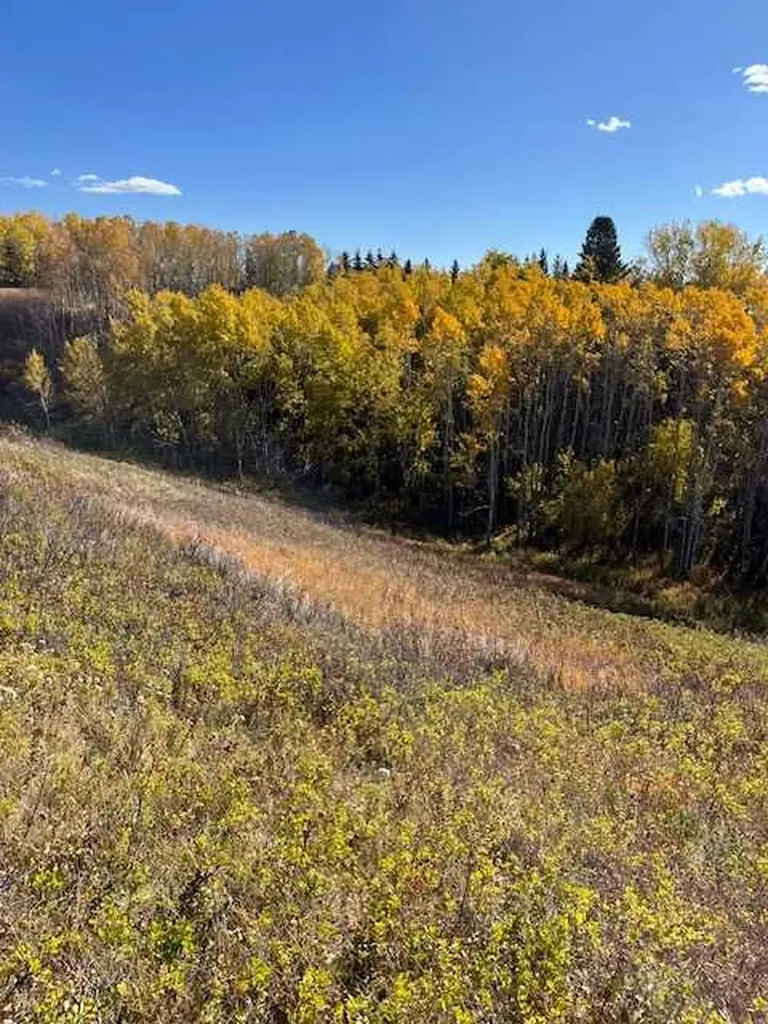 39 Taylor Bay Rural Rocky View County AB T3L 2P6