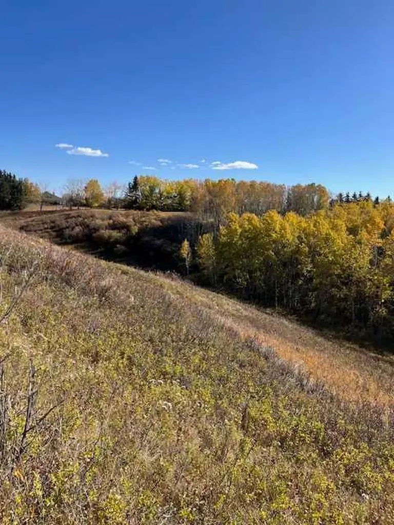 39 Taylor Bay Rural Rocky View County AB T3L 2P6