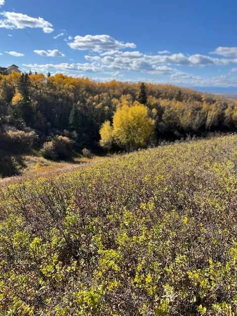 39 Taylor Bay Rural Rocky View County AB T3L 2P6