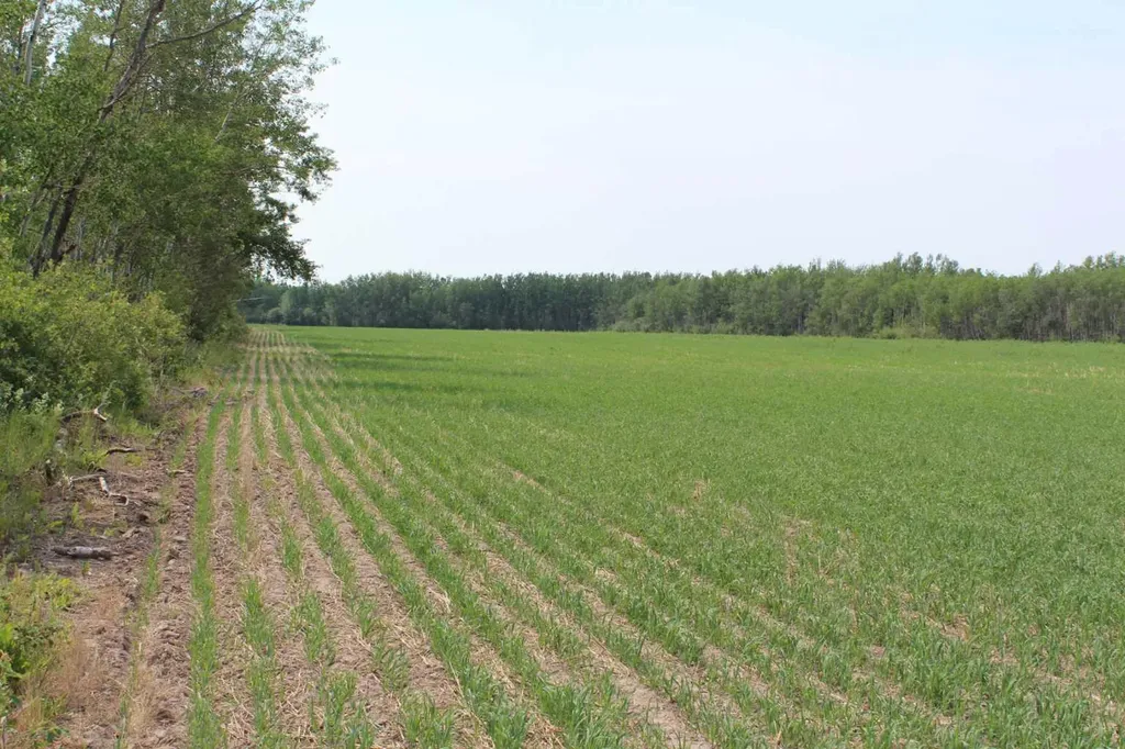 125 Range Road SE Fort Vermilion AB T0H 1N0