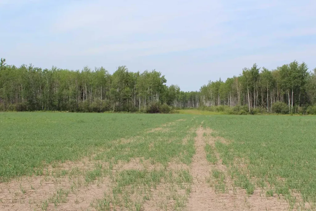 125 Range Road SE Fort Vermilion AB T0H 1N0
