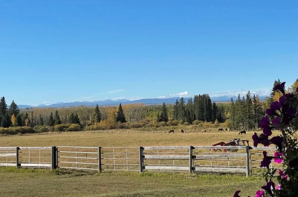 384082 22 Highway Rural Clearwater County AB T4T 1J6