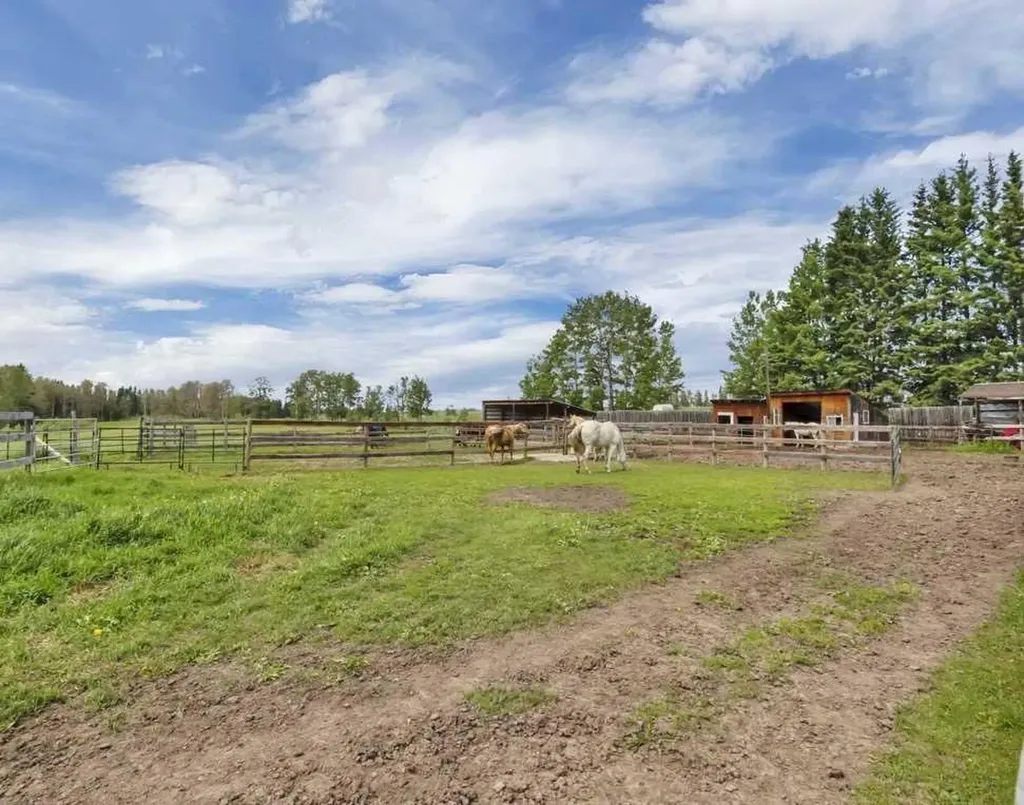 384082 22 Highway Rural Clearwater County AB T4T 1J6