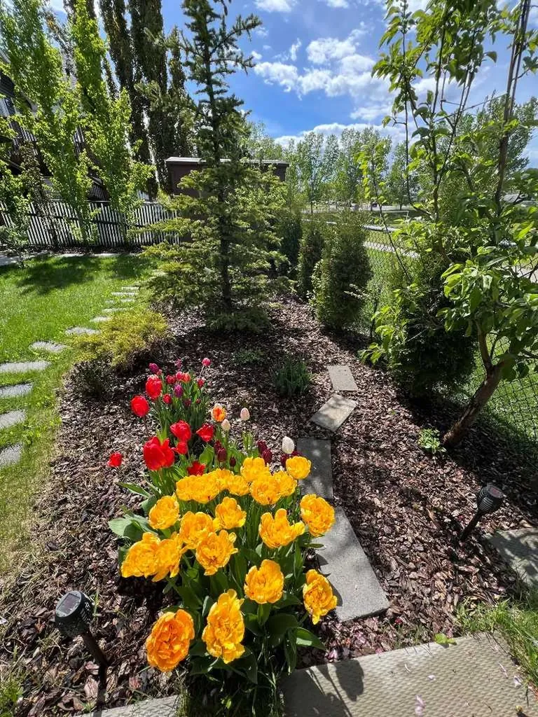46 Somerside Manor SW Calgary AB T2Y 3G4