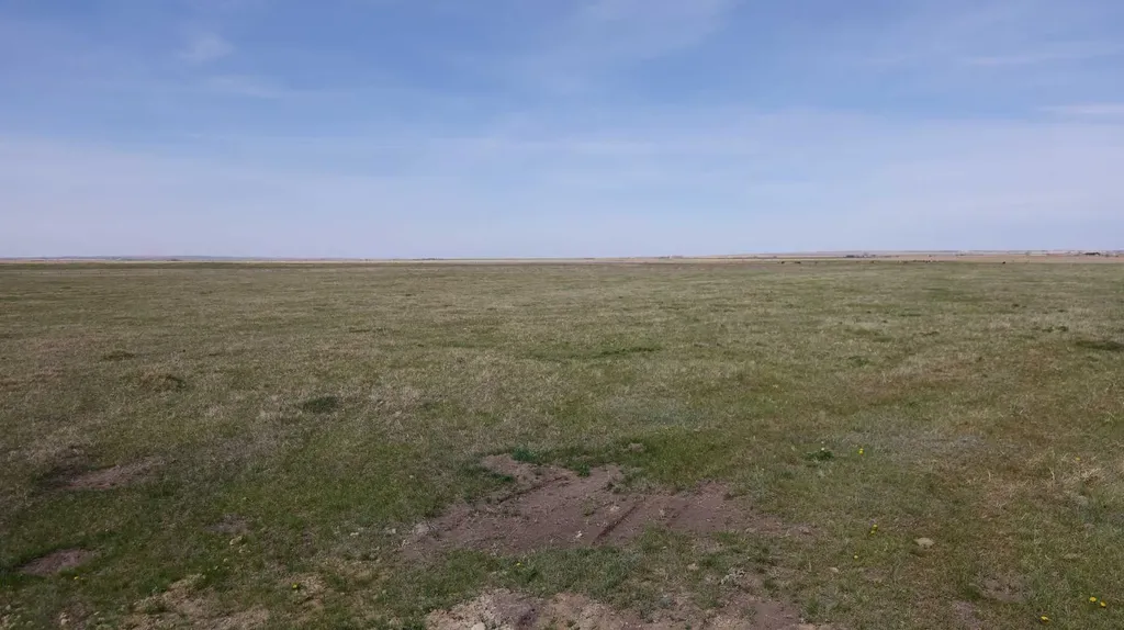 Vulcan County Rural Vulcan County AB T0L 2B0