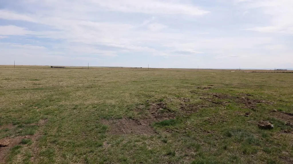 Vulcan County Rural Vulcan County AB T0L 2B0