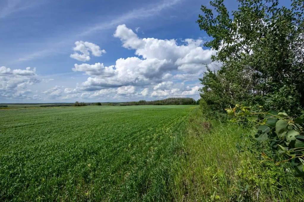 NE-36-50-8-W4 Rural Minburn No. 27 County Of AB T0B3B0