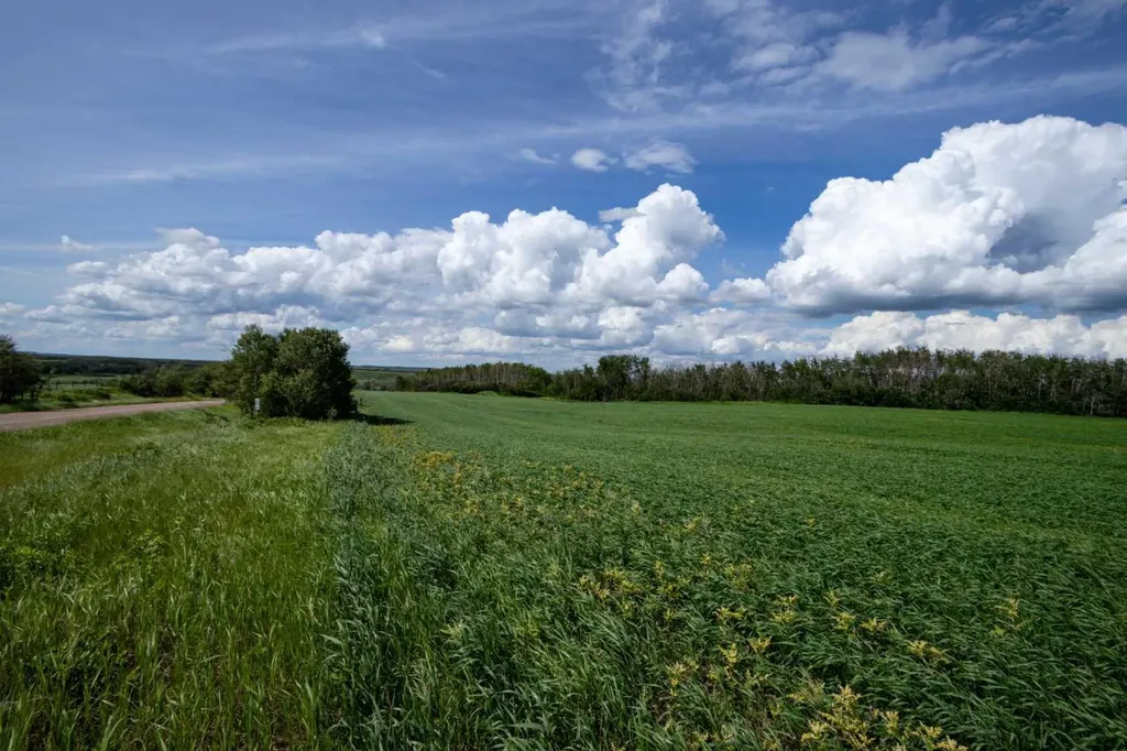 NE-8-50-36-4 Rural Minburn No. 27 County Of AB T0B3B0