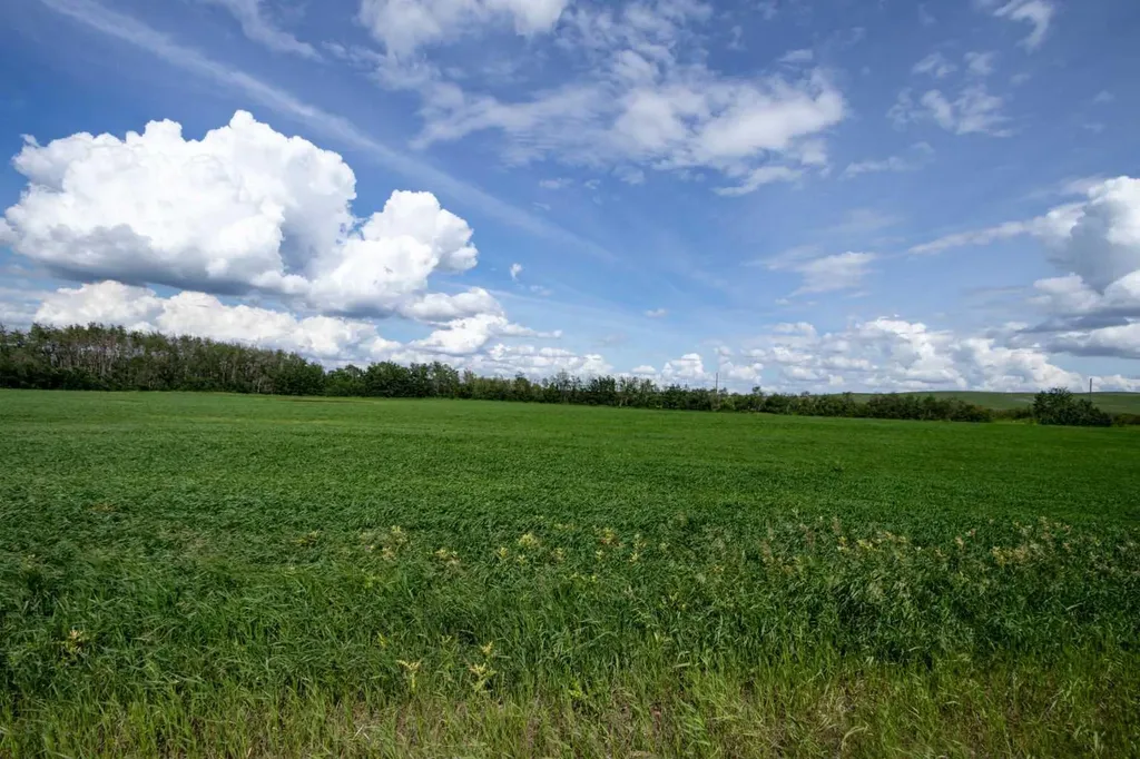 NE-36-50-8-W4 Rural Minburn No. 27 County Of AB T0B3B0