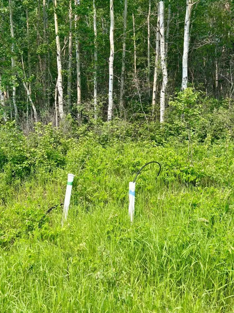 67325 Churchill Park Road Lac La Biche AB T0A2C1