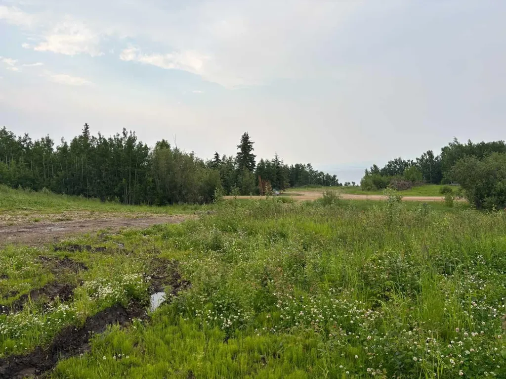 Lot 2 Southshore Drive Wagner AB T0G 2M0