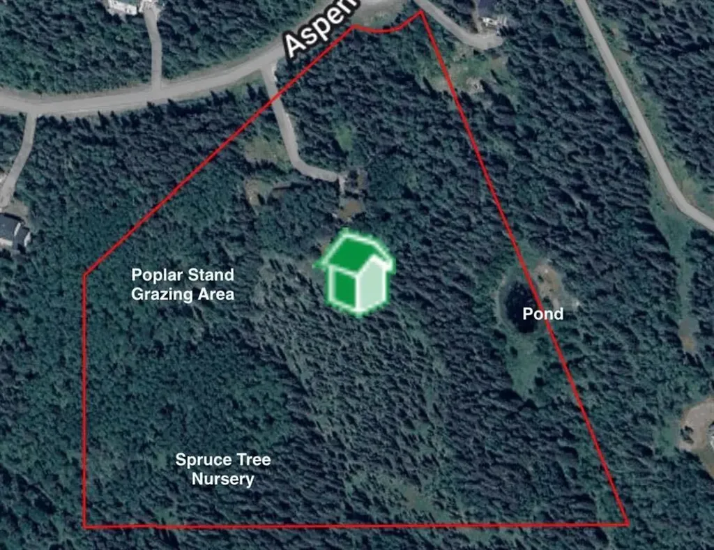 37 Aspen Creek Drive Rural Foothills County AB T0L 0K0