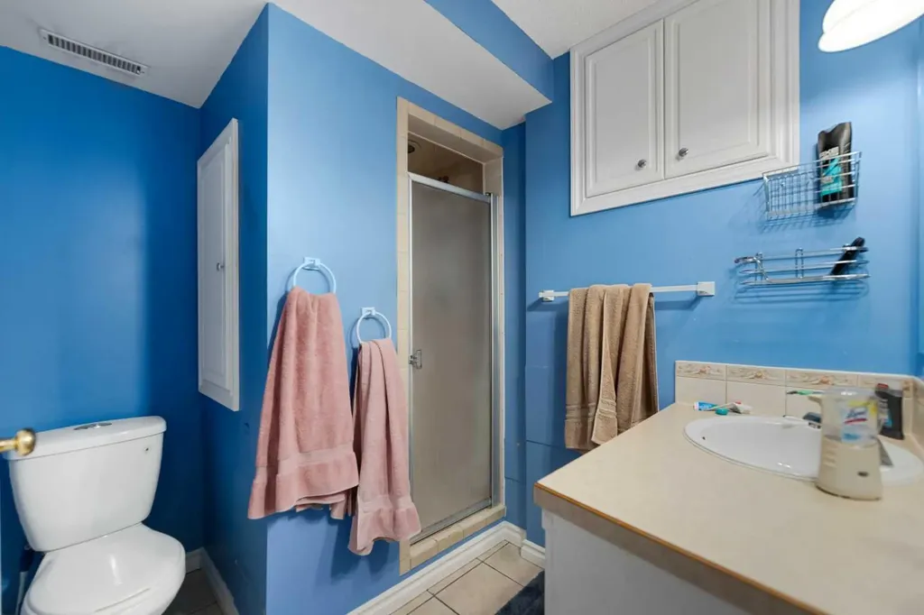 323 Maddock Crescent NE Calgary AB T2A 3W7