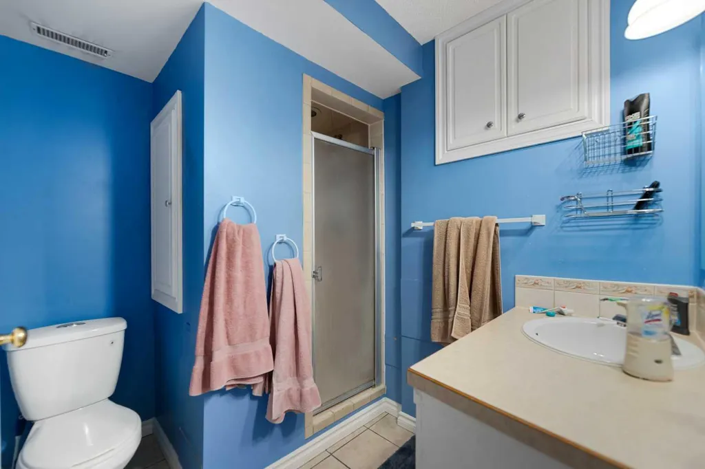 323 Maddock Crescent NE Calgary AB T2A 3W7