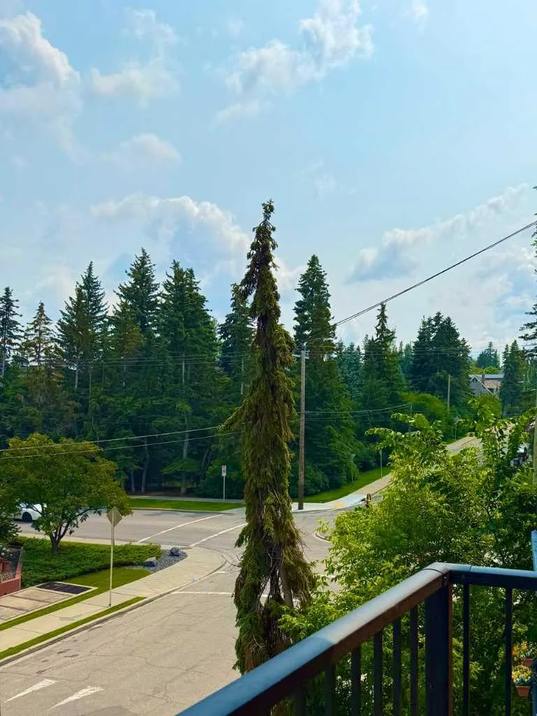 808 Royal Avenue SW Calgary AB T2T 0L3
