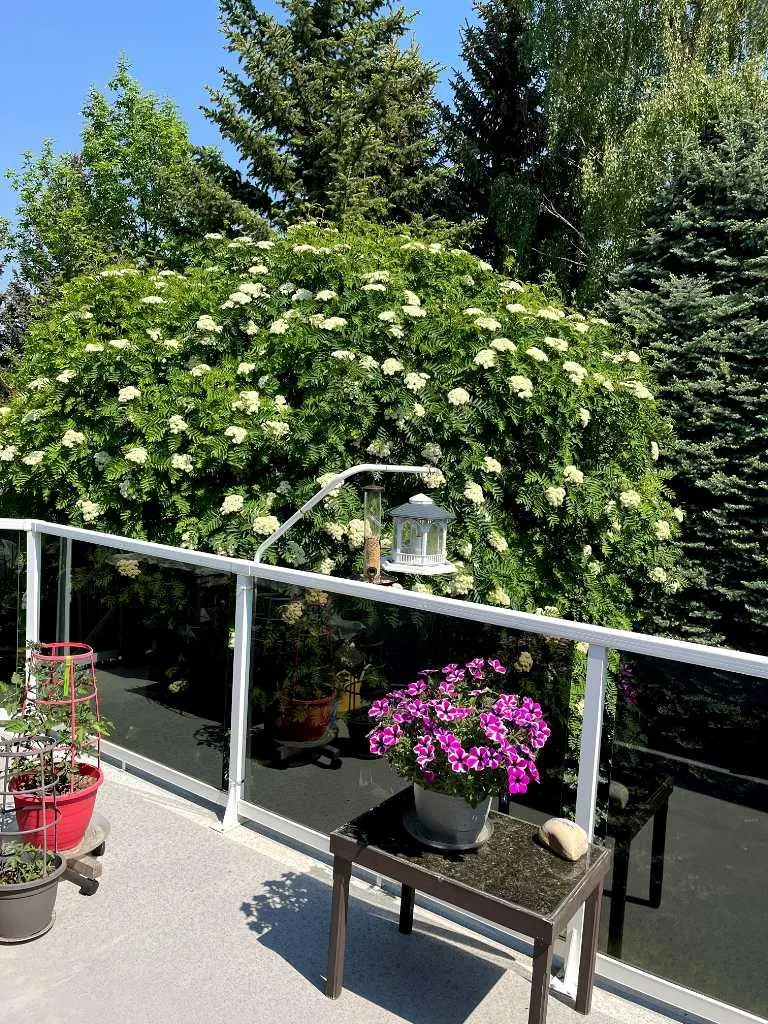 240 Varsity Estates Terrace NW Calgary AB T3B 5J4