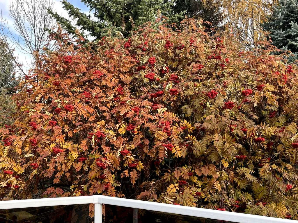 240 Varsity Estates Terrace NW Calgary AB T3B 5J4