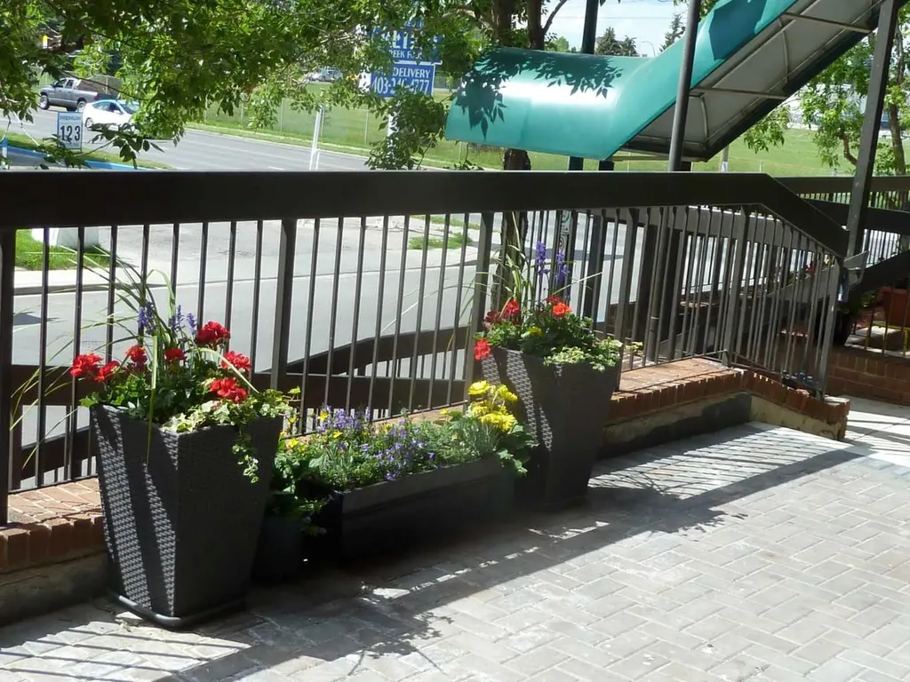 1900 25a Street SW Calgary AB T3E 1Y5