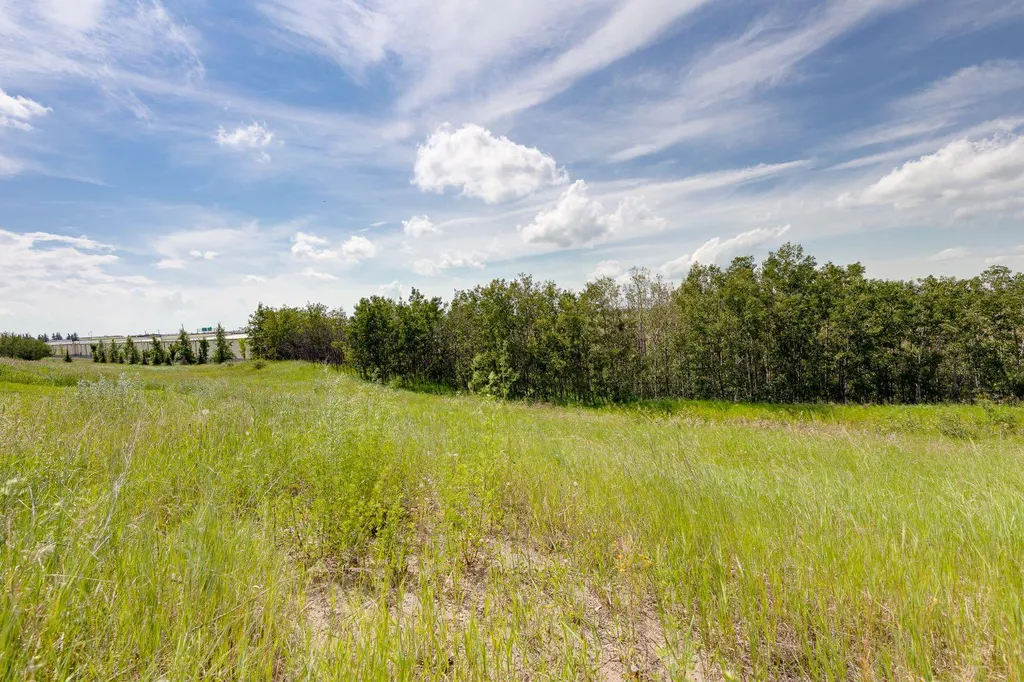 5446 Vista Trail Blackfalds AB T4M0L2