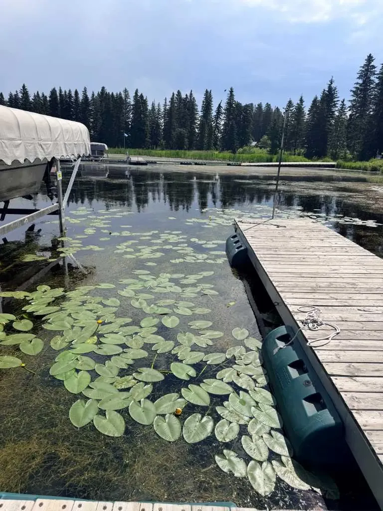 272 465015 Rr63a Range Buck Lake AB T0C0C0