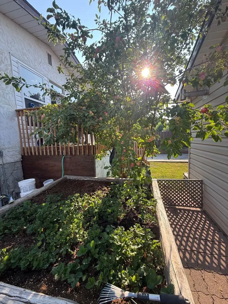 3733 21 Avenue S Lethbridge AB T1K 4J2