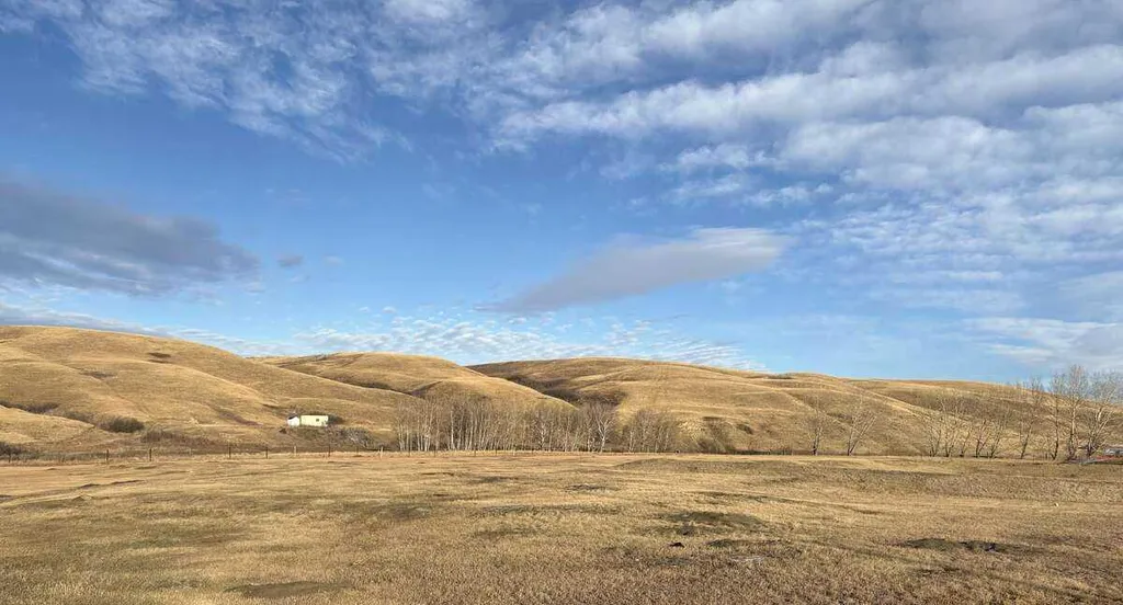 8 Diamond Valley Close Rural Kneehill County AB T0M 0L0